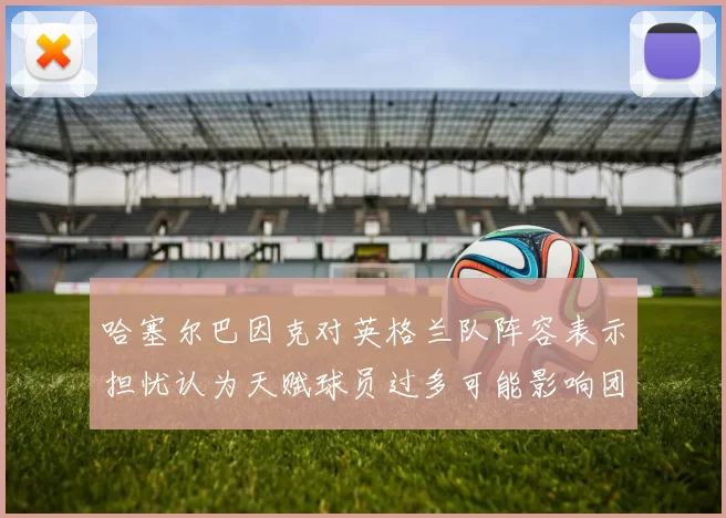哈塞尔巴因克对英格兰队阵容表示担忧认为天赋球员过多可能影响团队合作
