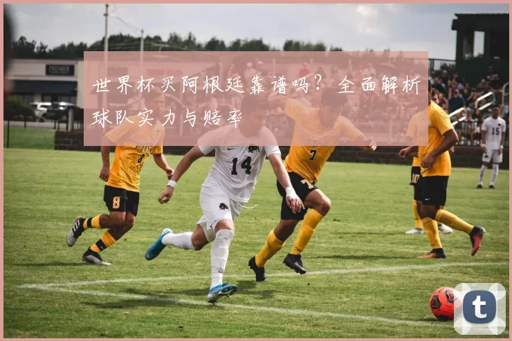 世界杯买阿根廷靠谱吗？全面解析球队实力与赔率