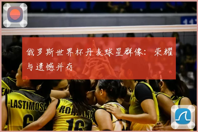 俄罗斯世界杯丹麦球星群像：荣耀与遗憾并存