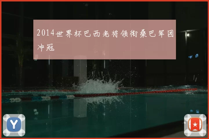 2014世界杯巴西老将领衔桑巴军团冲冠
