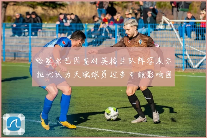 哈塞尔巴因克对英格兰队阵容表示担忧认为天赋球员过多可能影响团队合作