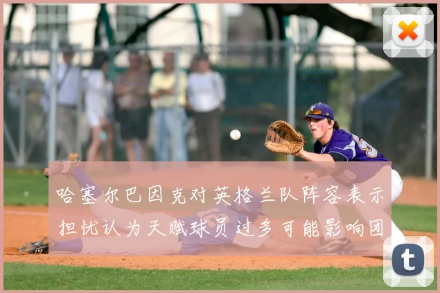 哈塞尔巴因克对英格兰队阵容表示担忧认为天赋球员过多可能影响团队合作