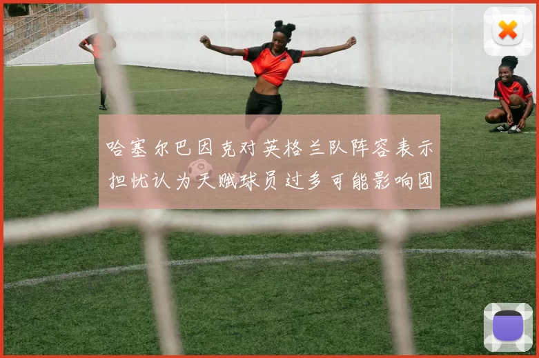 哈塞尔巴因克对英格兰队阵容表示担忧认为天赋球员过多可能影响团队合作