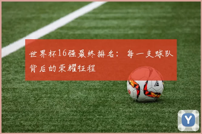 世界杯16强最终排名：每一支球队背后的荣耀征程