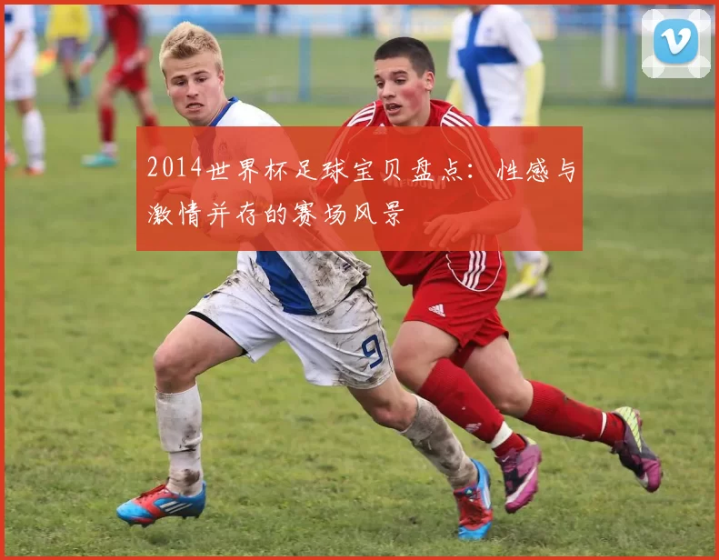 2014世界杯足球宝贝盘点：性感与激情并存的赛场风景