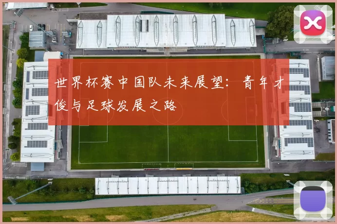 世界杯赛中国队未来展望:青年才俊与足球发展之路