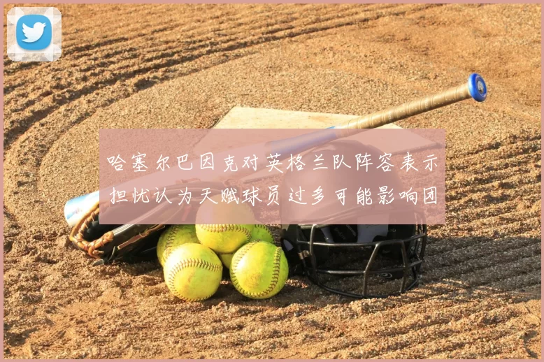 哈塞尔巴因克对英格兰队阵容表示担忧认为天赋球员过多可能影响团队合作