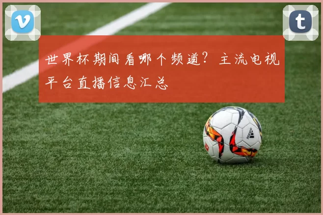 世界杯期间看哪个频道？主流电视平台直播信息汇总