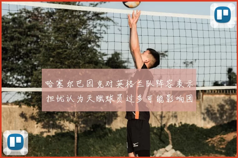 哈塞尔巴因克对英格兰队阵容表示担忧认为天赋球员过多可能影响团队合作