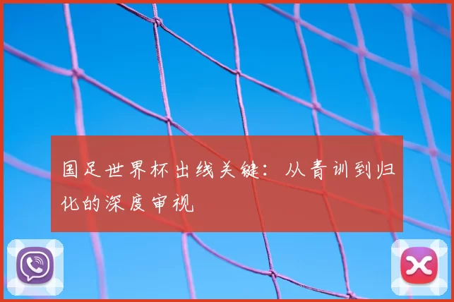 国足世界杯出线关键：从青训到归化的深度审视