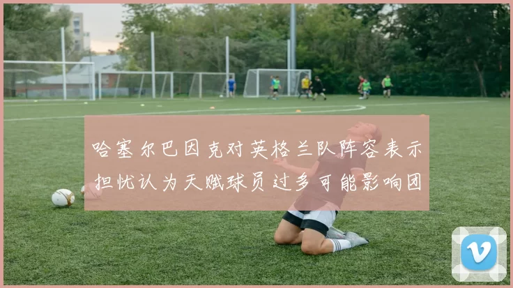哈塞尔巴因克对英格兰队阵容表示担忧认为天赋球员过多可能影响团队合作