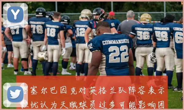 哈塞尔巴因克对英格兰队阵容表示担忧认为天赋球员过多可能影响团队合作