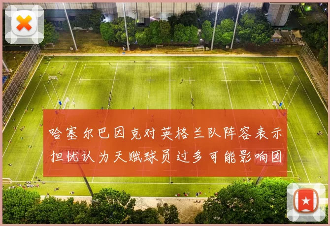 哈塞尔巴因克对英格兰队阵容表示担忧认为天赋球员过多可能影响团队合作