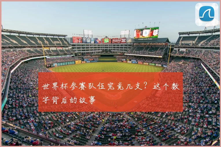 世界杯参赛队伍究竟几支？这个数字背后的故事