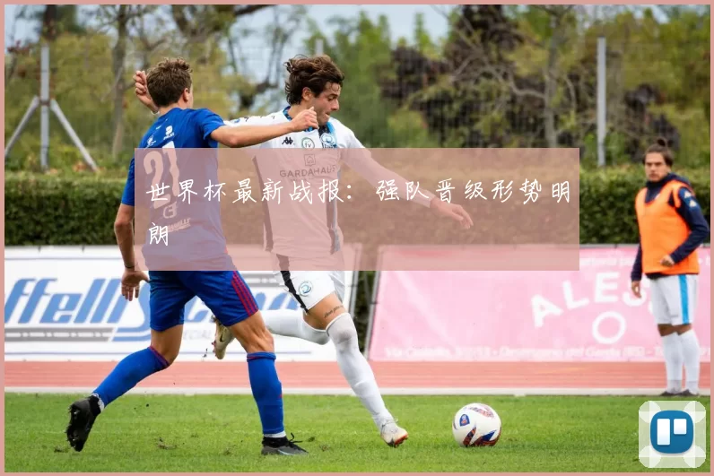 世界杯最新战报：强队晋级形势明朗