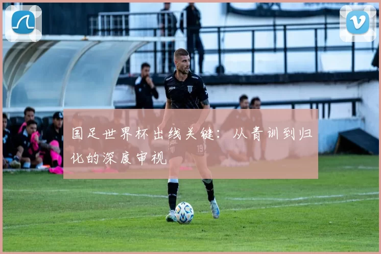国足世界杯出线关键：从青训到归化的深度审视