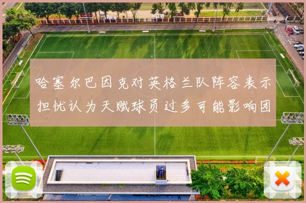哈塞尔巴因克对英格兰队阵容表示担忧认为天赋球员过多可能影响团队合作