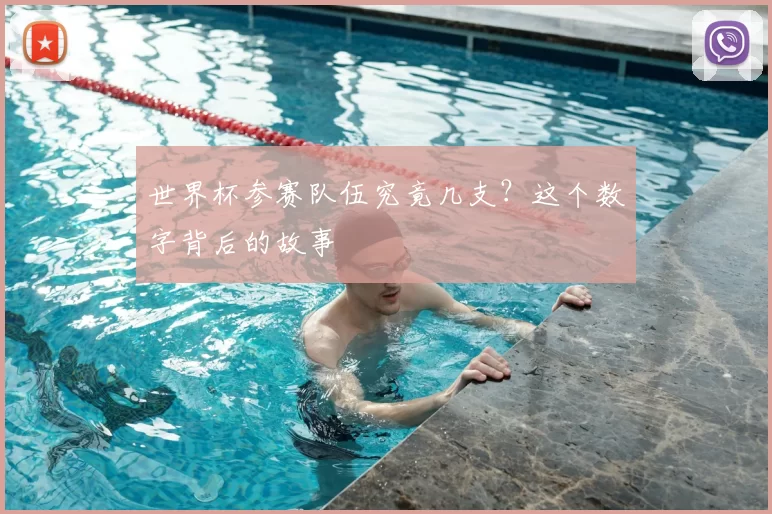 世界杯参赛队伍究竟几支？这个数字背后的故事